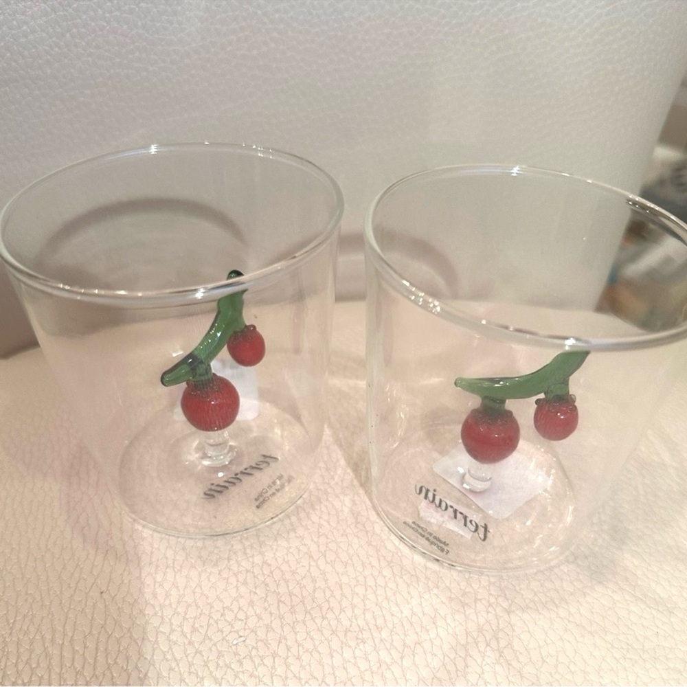 Terrain by Anthropologie Garden Veggies Tumbler Tomatoes Glass NWT Set of 2